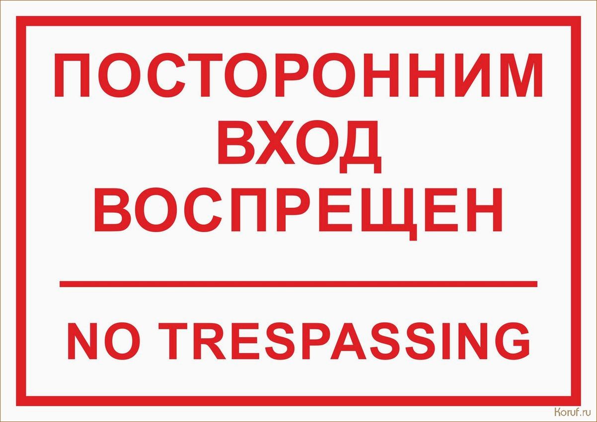 Стильный и практичный вход в цокольное помещение: лучшие идеи дизайна