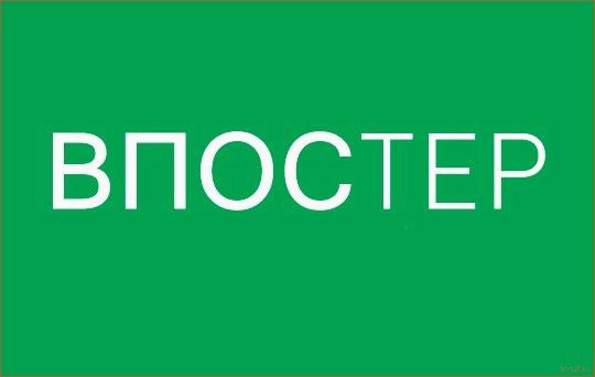 Стильный и практичный вход в цокольное помещение: лучшие идеи дизайна