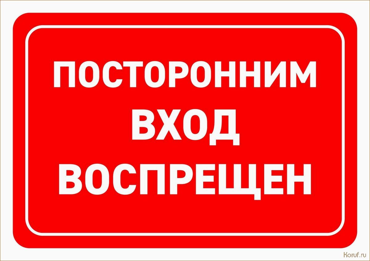 Стильный и практичный вход в цокольное помещение: лучшие идеи дизайна