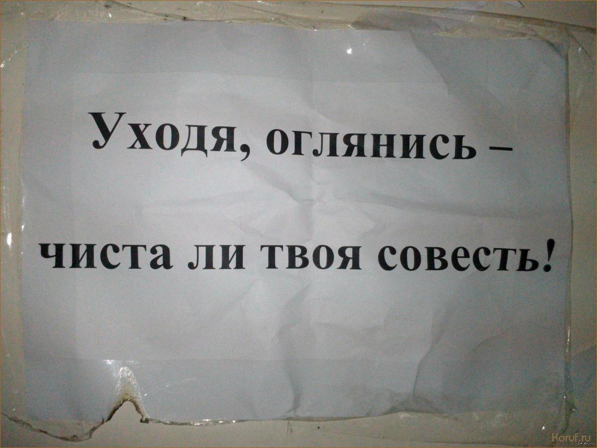 Уникальные и креативные дизайны туалетов: вдохновляющие идеи для вашего интерьера