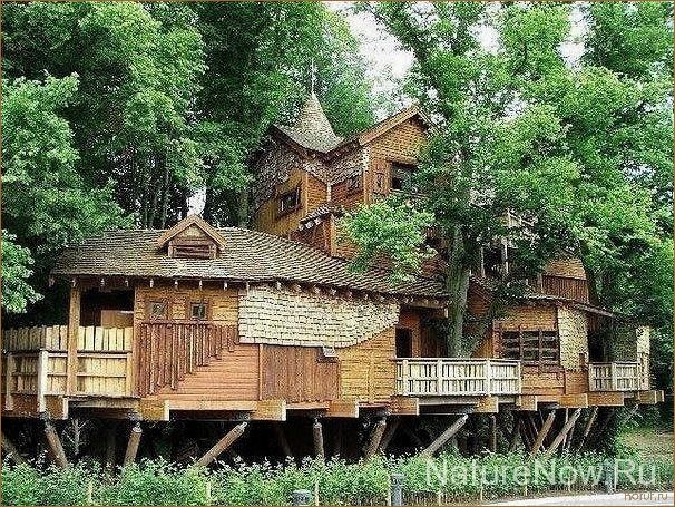 (необычный дизайн помещения, необычные дизайны помещений, необычный дизайна помещения) 5 необычных дизайнов помещений, которые удивят вас и вдохновят на создание своего уникального интерьера