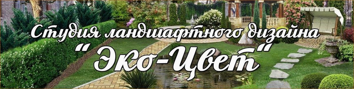 Изучаем формы детского дизайна: как создать уютную и креативную обстановку для малышей