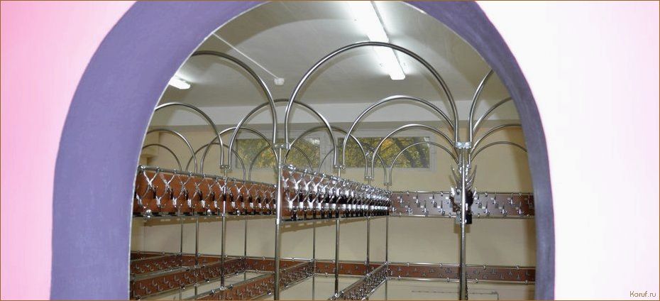 Максимизируйте ваше пространство с дизайнами гардеробных комнат для квартир в хрущевке