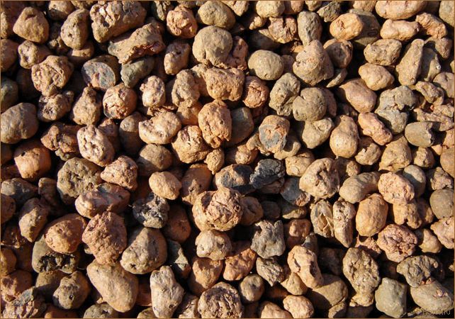 Идеальный материал для дизайна помещений: выбираем лучшее решение