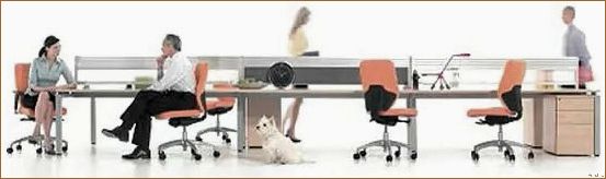 (дизайн помещений для, помещение для персонала дизайн, дизайна помещения) Эффективное пространство для творческой команды: дизайн интерьера помещения для персонала