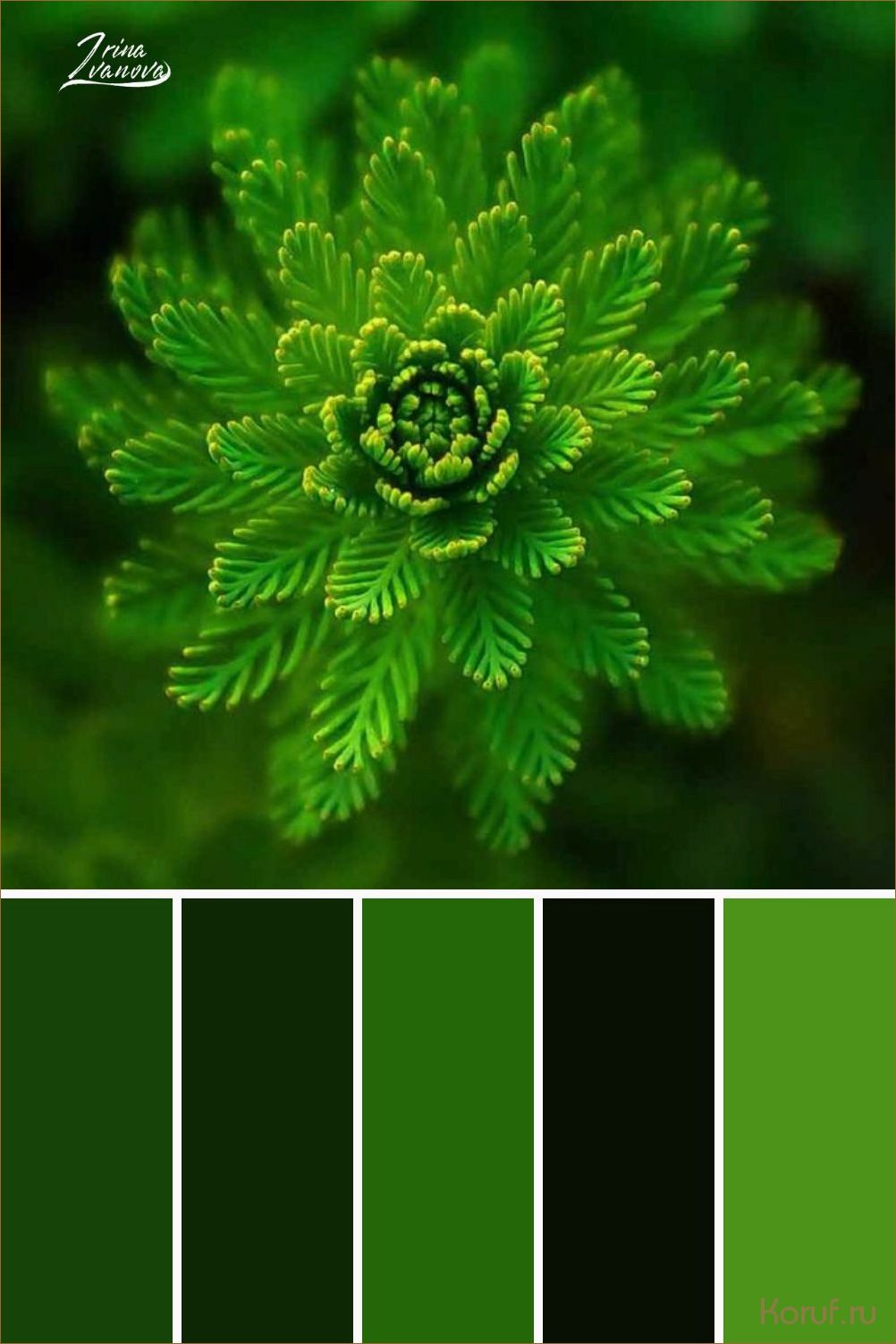 Освежающий и нежный: вдохновляющие идеи дизайна кухни в персиковых оттенках