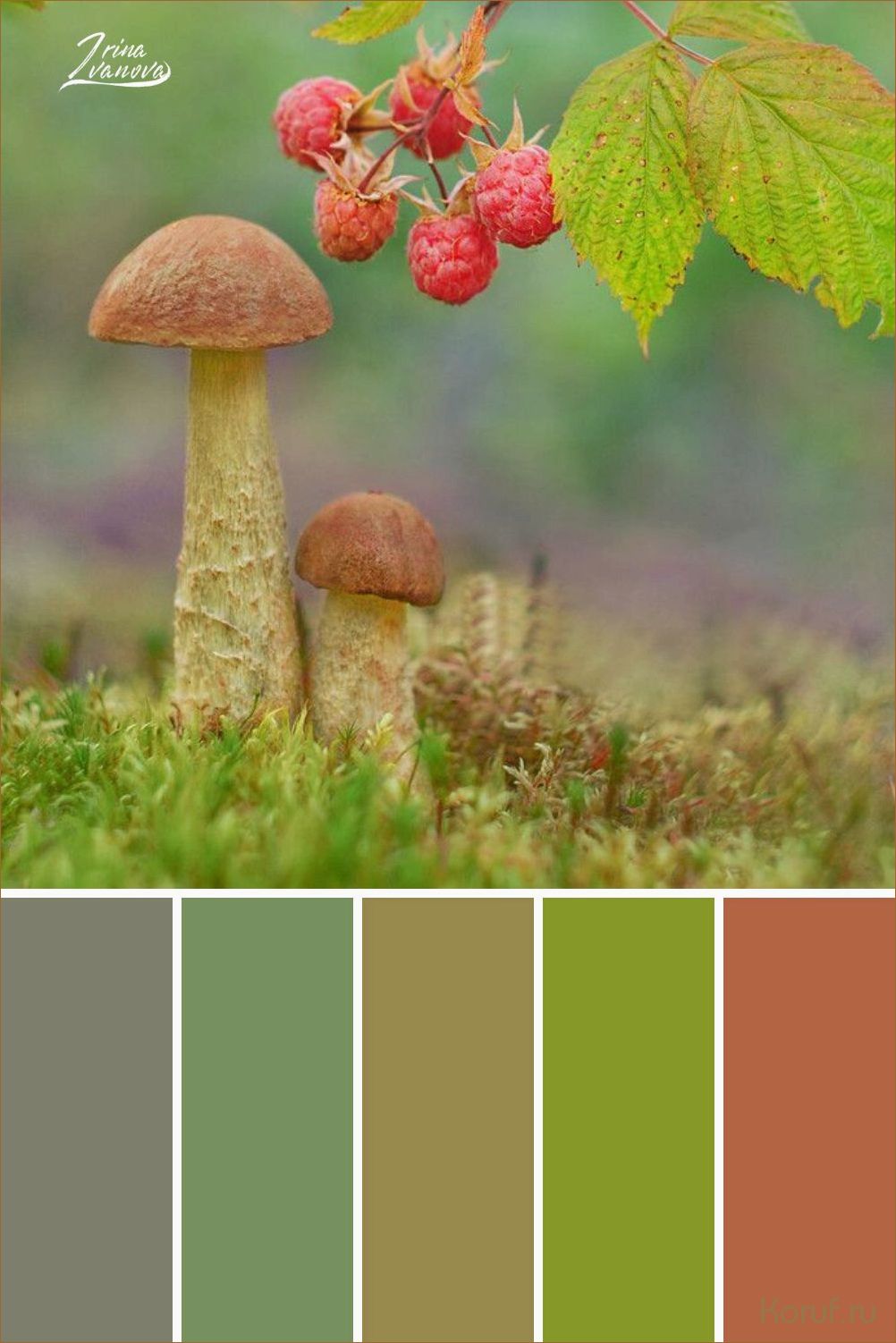 Освежающий и нежный: вдохновляющие идеи дизайна кухни в персиковых оттенках