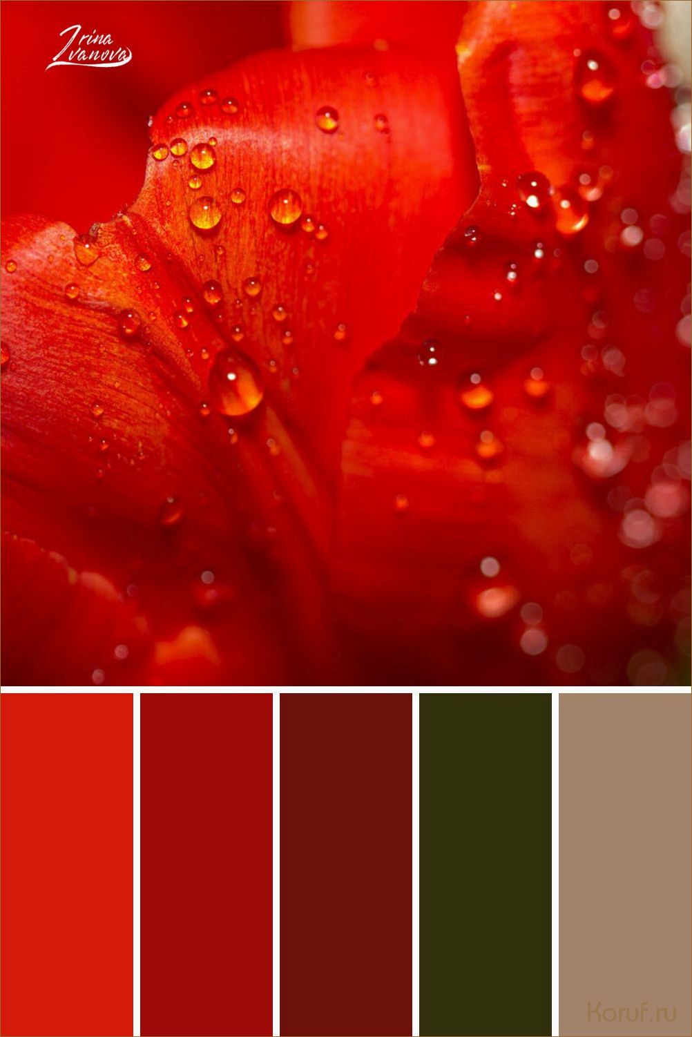 Освежающий и нежный: вдохновляющие идеи дизайна кухни в персиковых оттенках