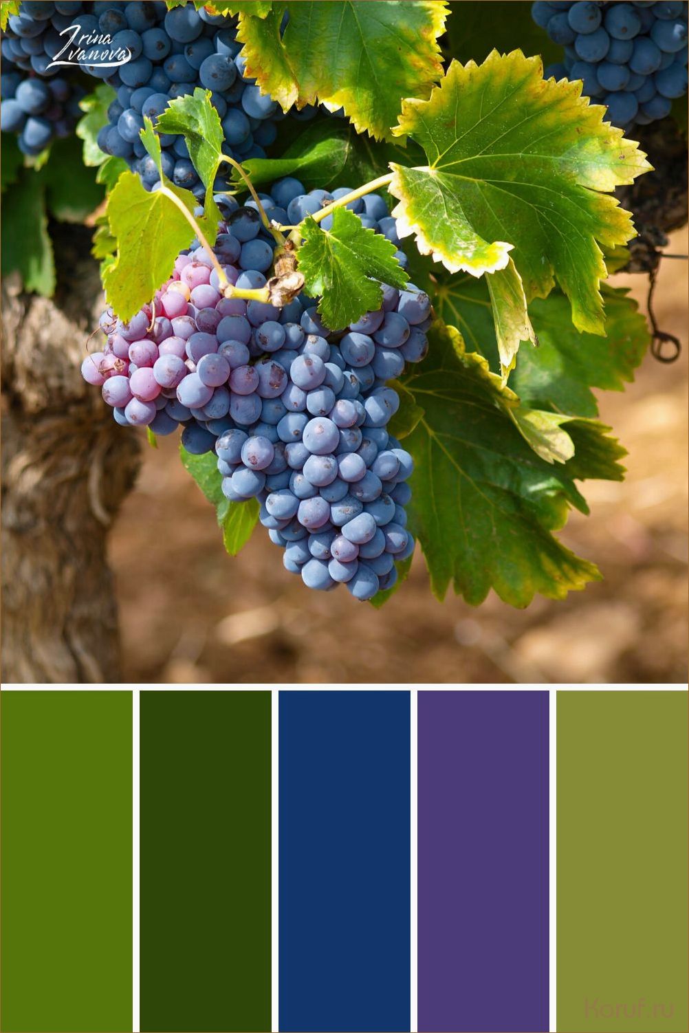 Освежающий и нежный: вдохновляющие идеи дизайна кухни в персиковых оттенках