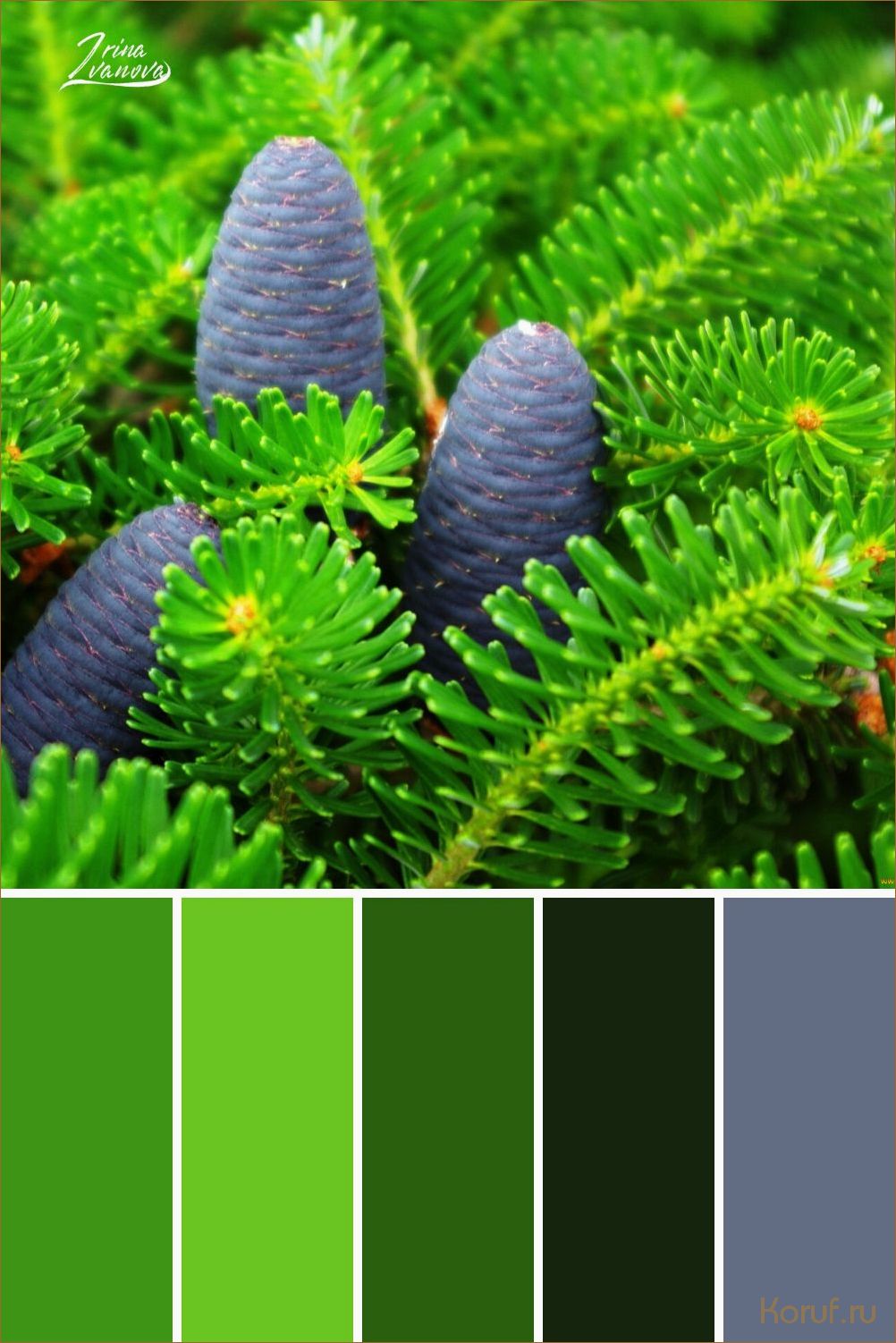 Освежающий и нежный: вдохновляющие идеи дизайна кухни в персиковых оттенках