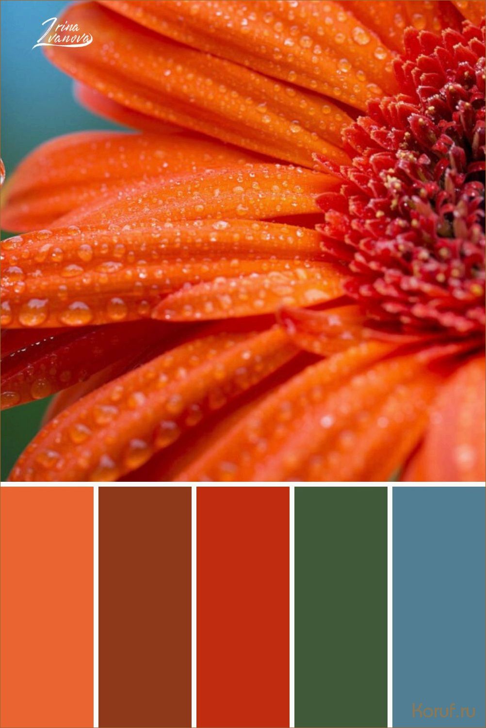 Освежающий и нежный: вдохновляющие идеи дизайна кухни в персиковых оттенках