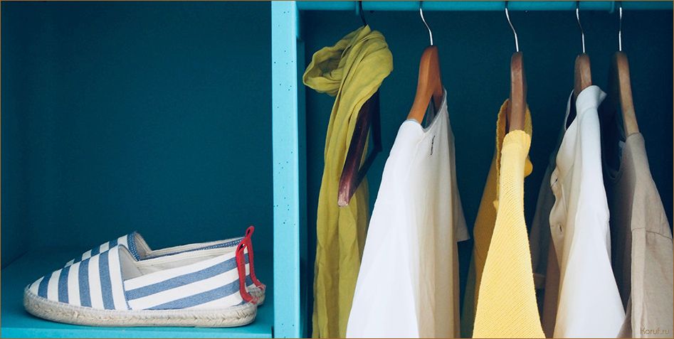 От экономии пространства до элегантности: лучшие дизайны гардеробных комнат для прихожей