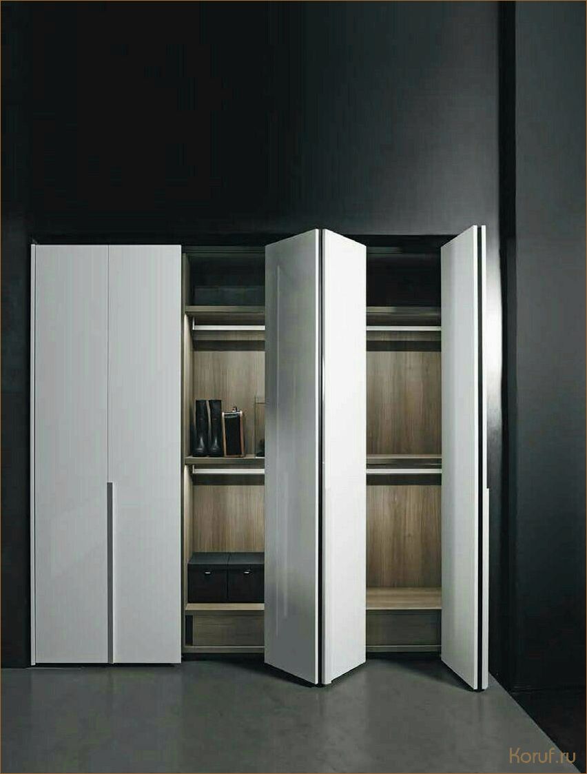 От экономии пространства до элегантности: лучшие дизайны гардеробных комнат для прихожей