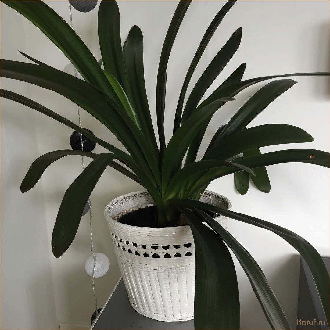 Топ-10 инновационных и функциональных идей для современного дизайна жилых помещений