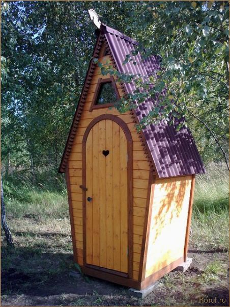 Полный гид по дизайнерскому оформлению внутреннего пространства дачного туалета