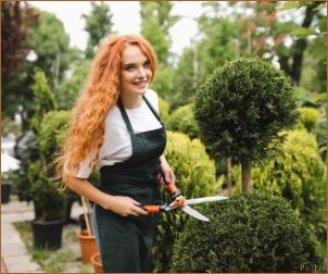 (дизайн гостиная комнаты, дизайн гостиной комната, дизайн гостиной комнаты) 10 идей дизайна для нестандартной гостиной: современные и креативные подходы