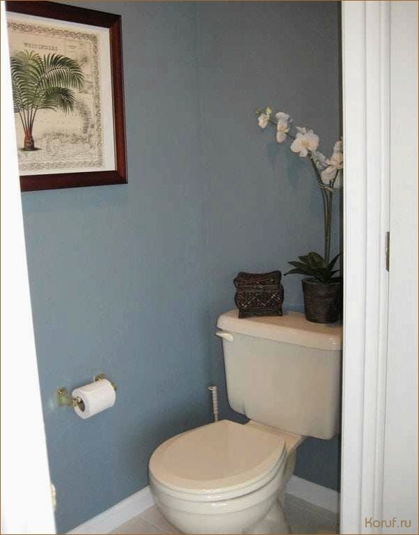 Дизайн туалета: как подобрать правильную краску для интерьера