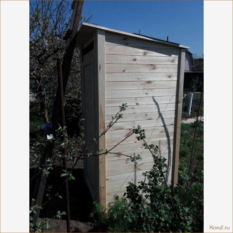 (дизайн частного туалета, дизайны туалет, дизайн туалета) Идеи дизайна частного туалета: от экономичных до роскошных решений