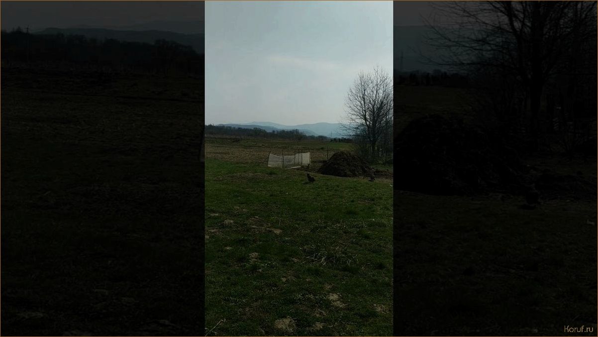 (стильный дизайн туалет, дизайн туалета из ламината, дизайн туалет комната) Новый взгляд на туалетный дизайн: уникальный интерьер из ламината